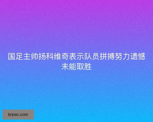 国足主帅扬科维奇表示队员拼搏努力遗憾未能取胜