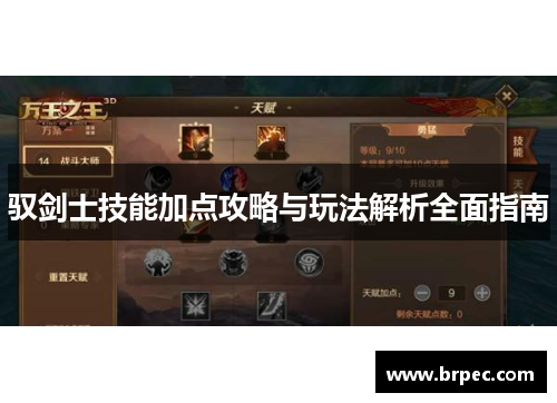 驭剑士技能加点攻略与玩法解析全面指南