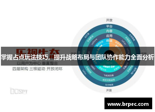 掌握占点玩法技巧，提升战略布局与团队协作能力全面分析