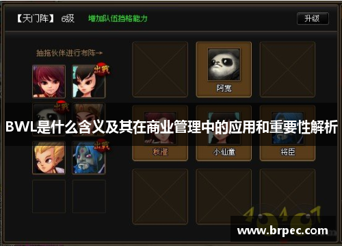 BWL是什么含义及其在商业管理中的应用和重要性解析