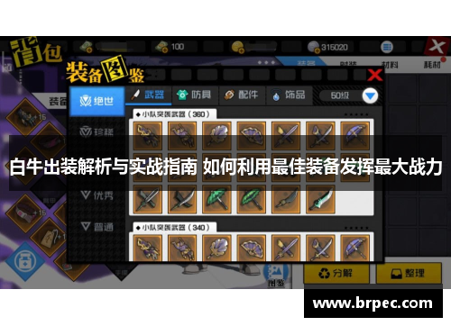 白牛出装解析与实战指南 如何利用最佳装备发挥最大战力