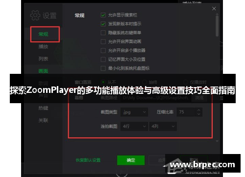 探索ZoomPlayer的多功能播放体验与高级设置技巧全面指南